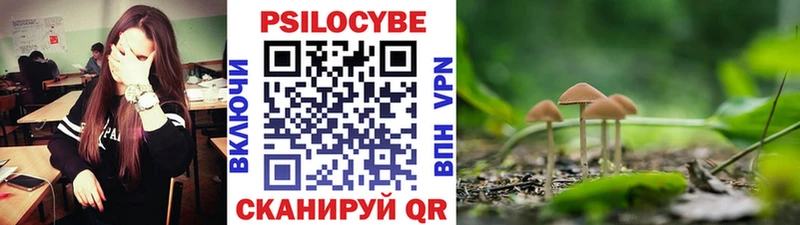 Галлюциногенные грибы MAGIC MUSHROOMS  цены наркотик  Талица 